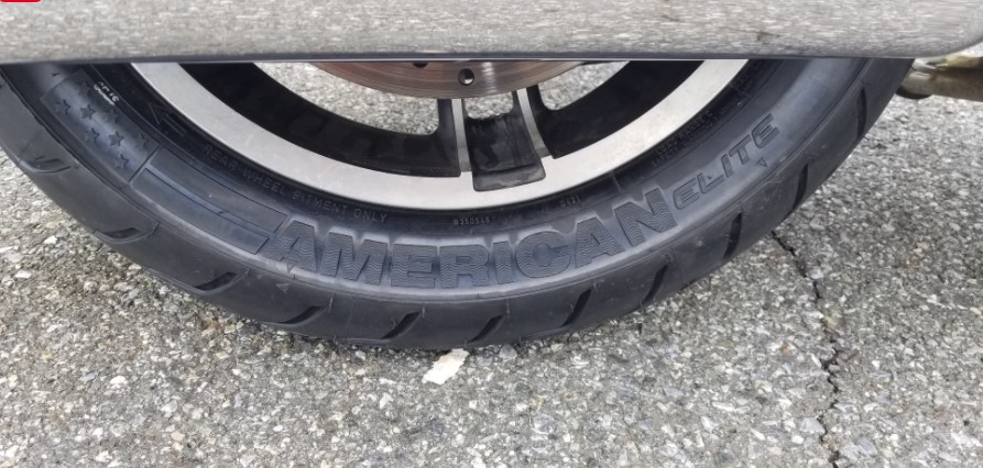 Dunlop American Elite